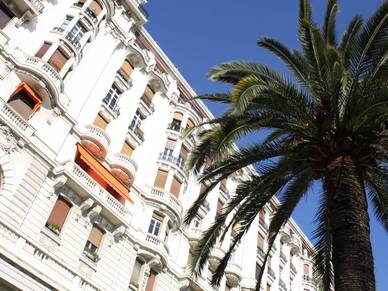 Palmen in Südfrankreich,  Französisch Sprachreisen für Erwachsene
