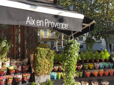 Blumengeschäft in Aix-en-Provence, Französisch Sprachreise für Erwachsene